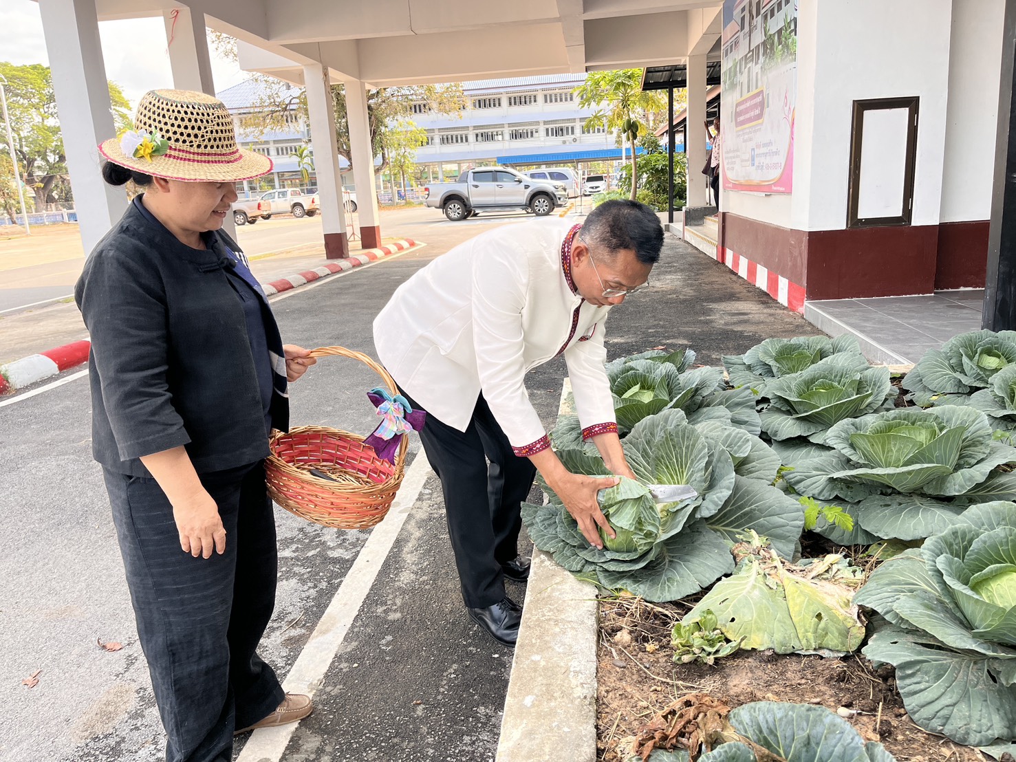 @ พช.คำชะอี จังหวัดมุกดาหาร ตัดกะหล่ำปลี เพื่อการให้และแบ่งปัน “อำเภอนี้มีรัก ปลูกผักแบ่งปัน” ส่งต่อครัวเรือนยากจน TPAP มิติด้านรายได้ ในการสร้างความมั่นคงทางอาหาร ตามวิถีชีวิตเศรษฐกิจพอเพียง”